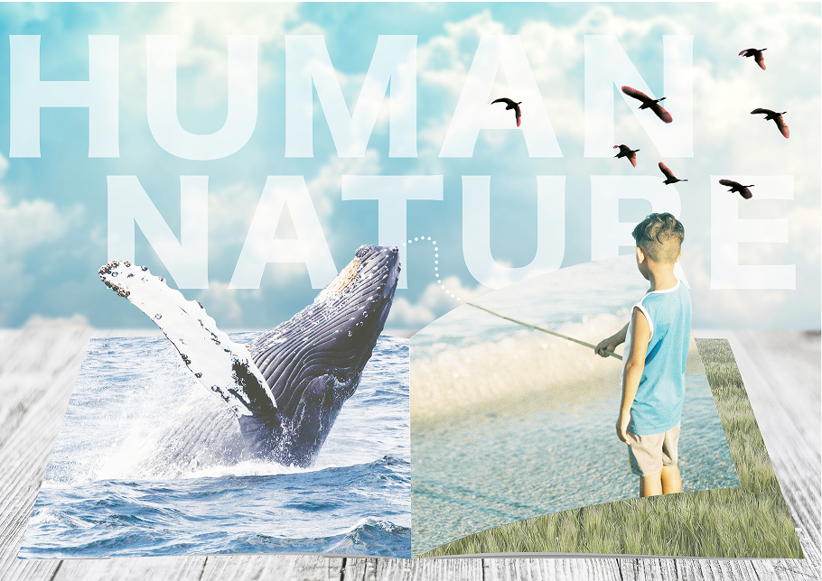 Eco Donuts Main Visual